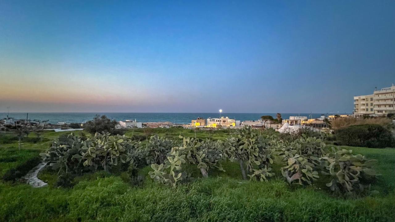Bed and Breakfast Blue Dream Polignano a Mare Zewnętrze zdjęcie